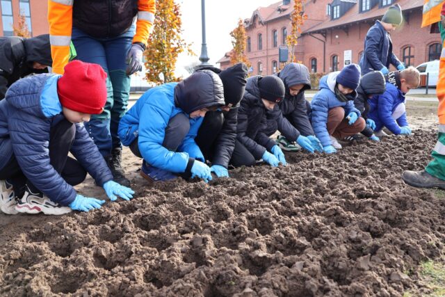 Dzieci z pomocą dorosłych sadzące kwiaty na skwerze przy bibliotece w Pleszewie.