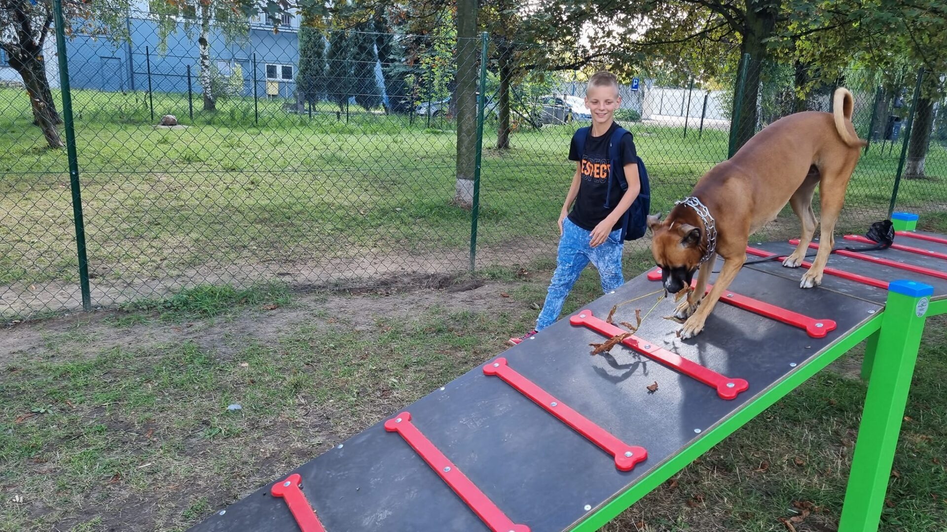 Zdjęcie przedstawia psa oraz jego właściciela na wybiegu dla psów zlokalizowanym w Pleszewie w pobliżu ulicy Warneńczyka