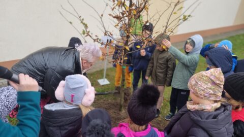 Uczniowie ZSP w Taczanowie Drugim podczas sadzenia drzew na terenie boiska szkolnego.